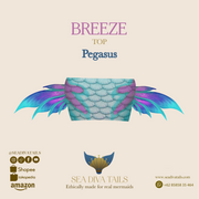 Breeze Top - Pegasus